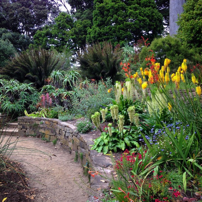 Sf Botanical Garden In Golden Gate Park Celebrates 75 Years With
