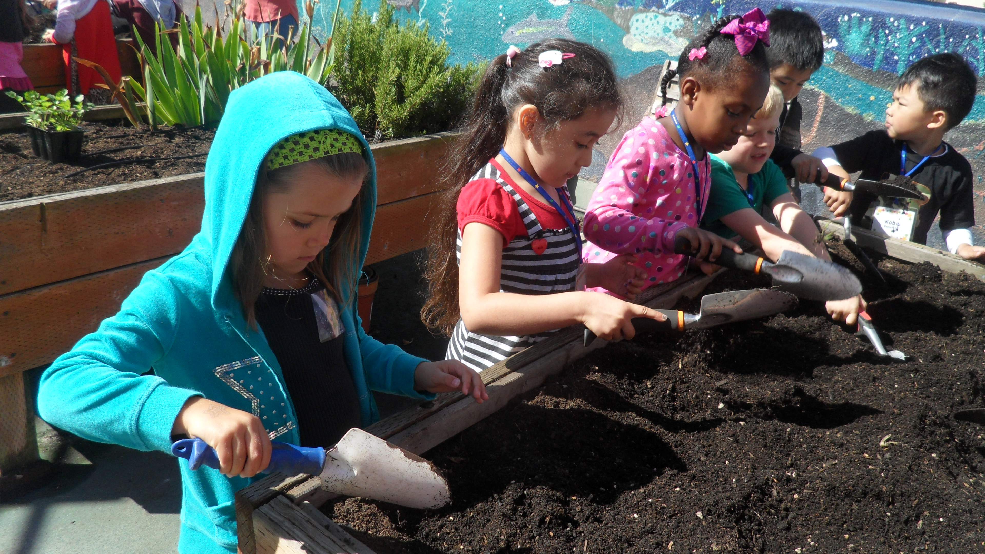 Alamo students work and learn in the school's garden