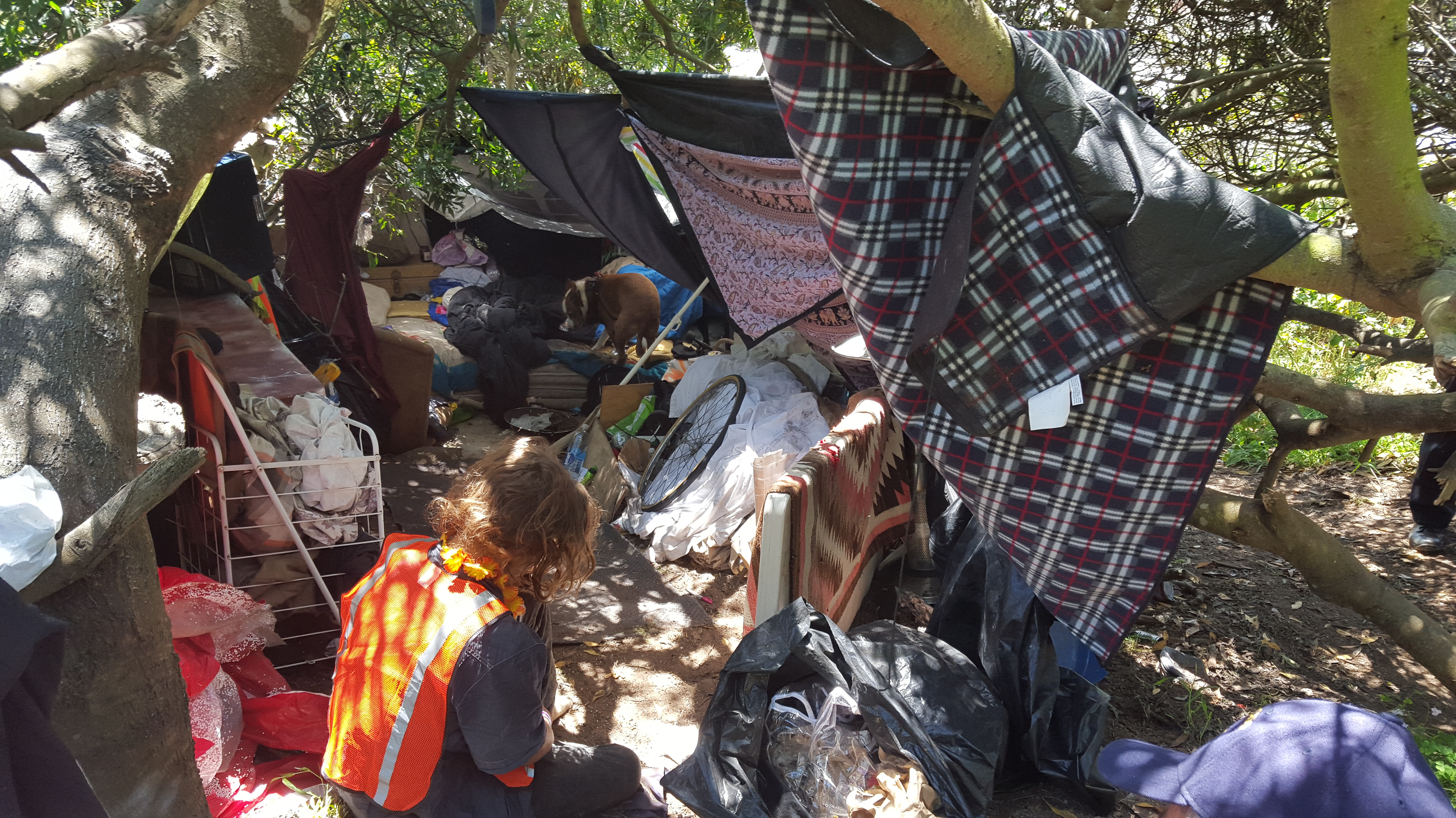 A homeless encampment in Sutro Park