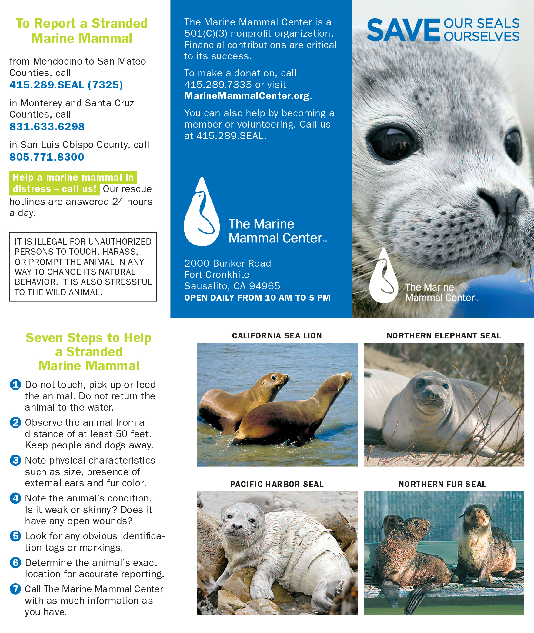 A pocket reminder of what you can do when you encounter a stranded Marine Mammal. 