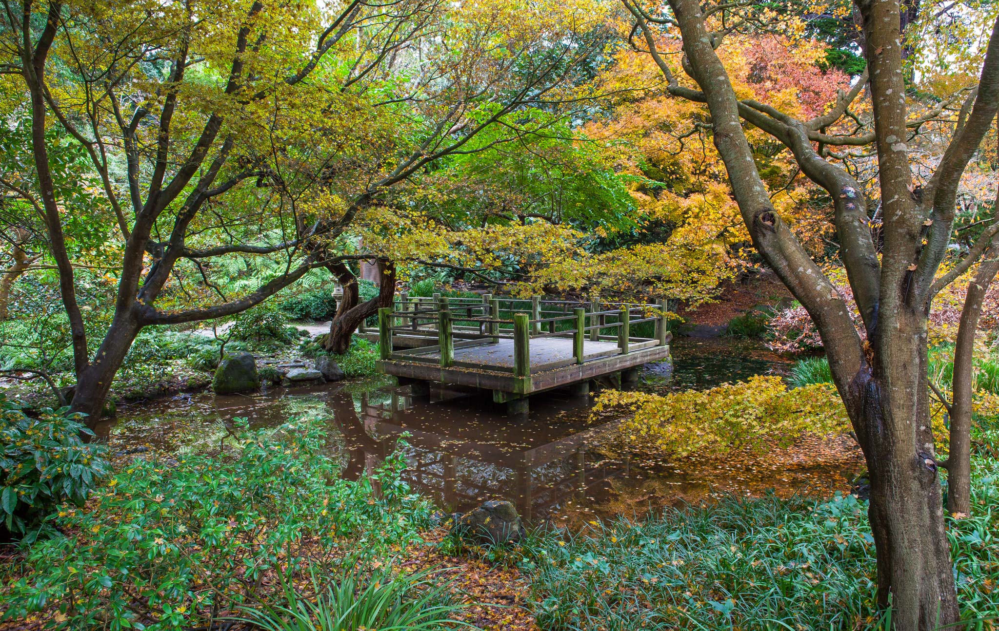 Who Says San Francisco Has No Seasons Don T Miss The Fall Beauty At The Botanical Gardens Richmond District Blog